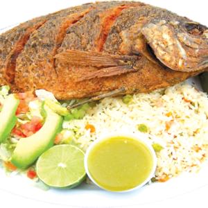 tilapia